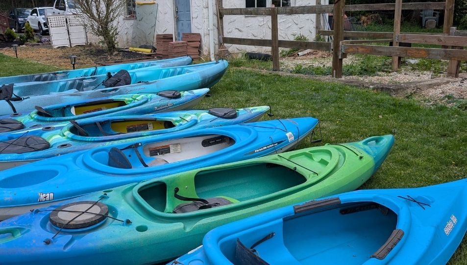 Blue kayaks for rent